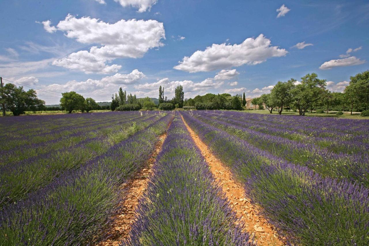 B&B Dans Mas En Pierres Robion en Luberon Buitenkant foto